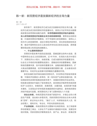 陈一新：新民营经济是发展新经济的主导力量.docx