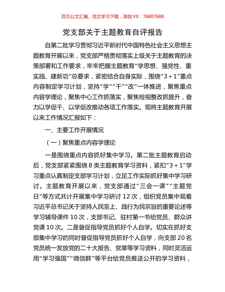 党支部关于主题教育自评报告.docx_第1页