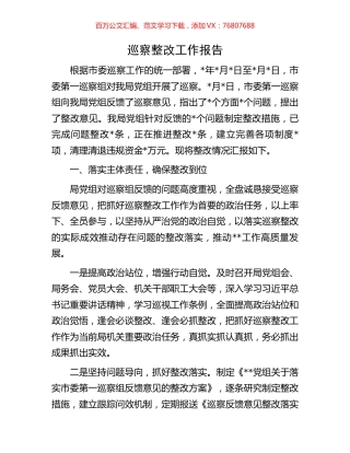 巡察整改工作报告.docx