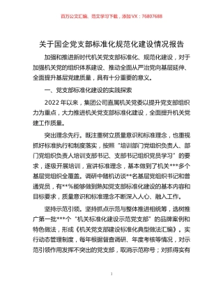 -关于国企党支部标准化规范化建设情况报告.docx