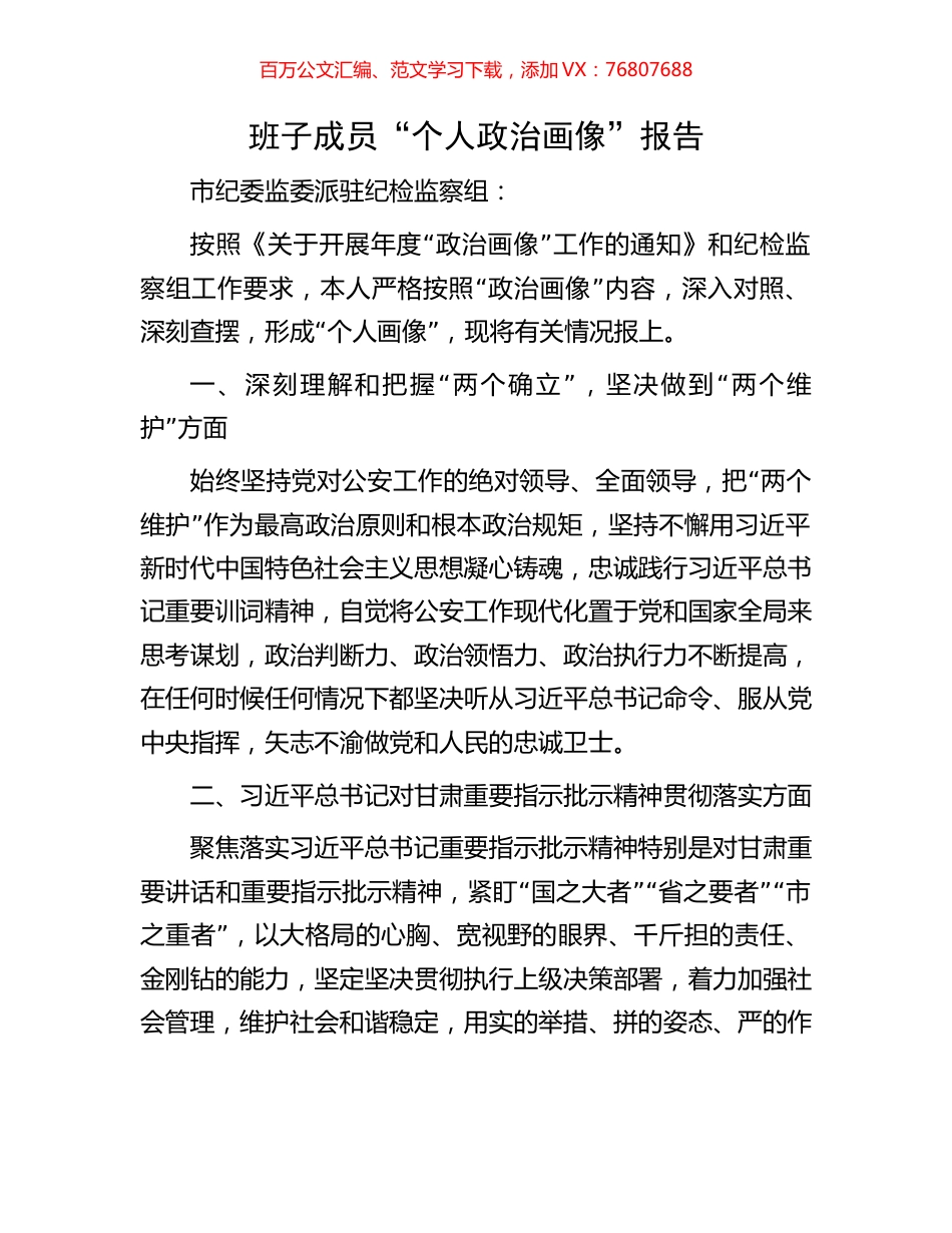 班子成员“个人政治画像”报告.docx_第1页