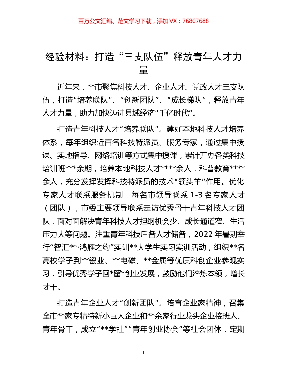 -经验材料：打造“三支队伍”释放青年人才力量.docx_第1页