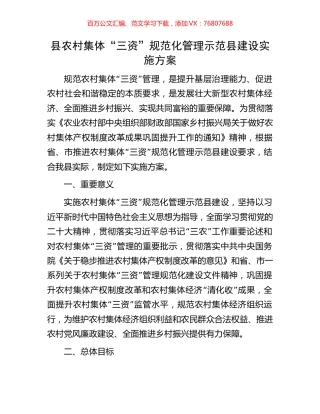 县农村集体“三资”规范化管理示范县建设实施方案.docx