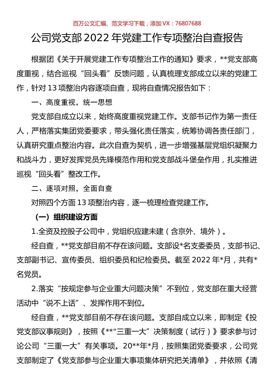 公司党支部2022年党建工作专项整治自查报告.docx_第1页