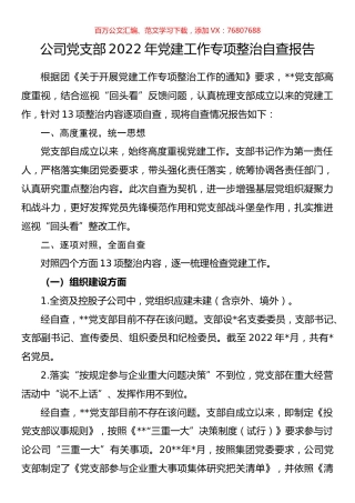 公司党支部2022年党建工作专项整治自查报告.docx