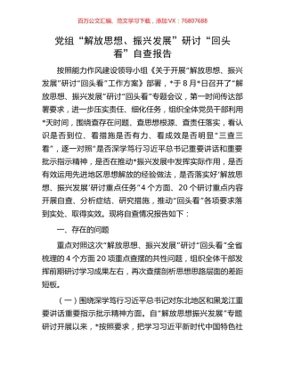 党组“解放思想、振兴发展”研讨“回头看”自查报告.docx