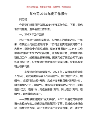 某公司2024年度工作报告.docx