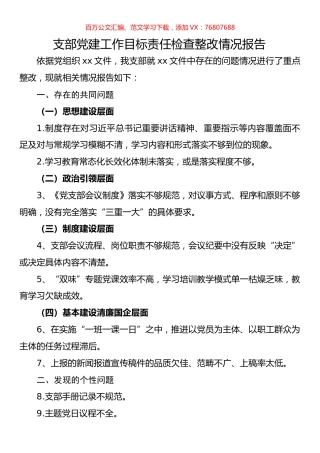支部党建工作目标责任检查整改情况报告.docx