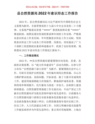 县自然资源局2022年意识形态工作报告.docx