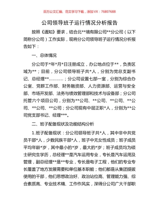 公司领导班子运行情况分析报告.docx