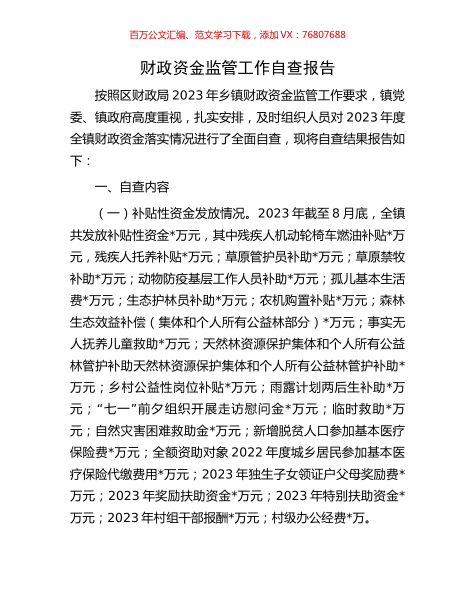 财政资金监管工作自查报告.docx_第1页