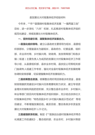 县发展壮大村级集体经济经验材料.docx