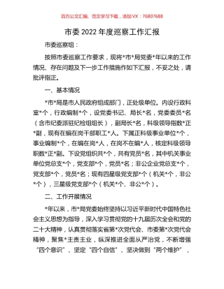 市委2022年度巡察工作汇报.docx