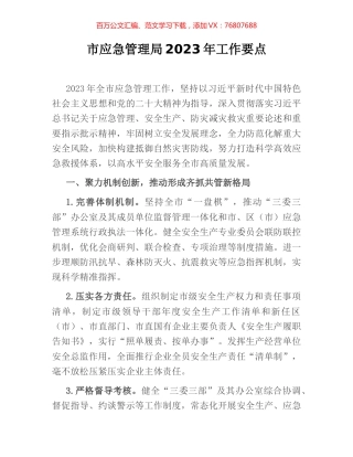 市应急管理局2023年工作要点.docx