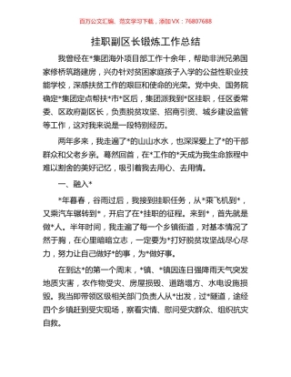 挂职副区长锻炼工作总结.docx