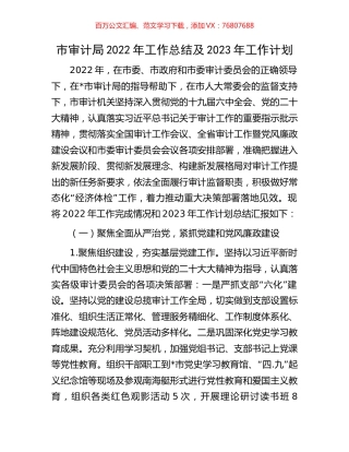 市审计局2022年工作总结及2023年工作计划.docx