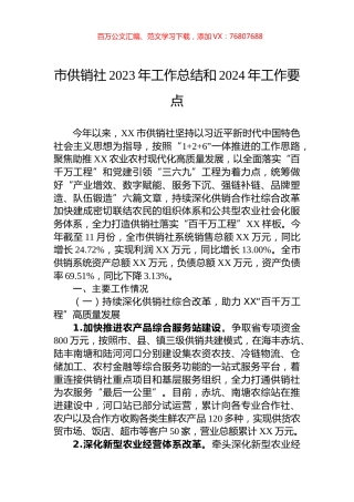 市供销社2023年工作总结和2024年工作要点.docx