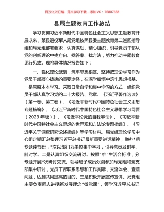 县局主题教育工作总结.docx