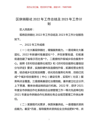-区供销联社2022年工作总结及2023年工作计划 (2).docx