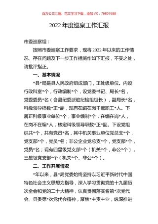 2022年度巡察工作汇报.docx