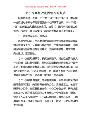关于巡察整改进展情况的报告.docx
