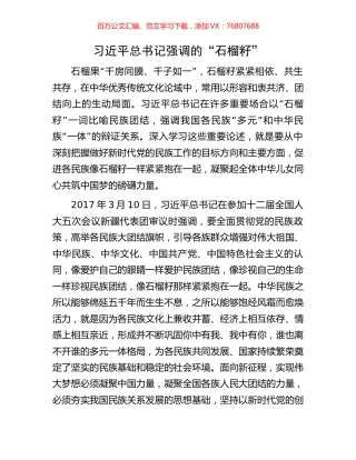 习近平总书记强调的“石榴籽”.docx