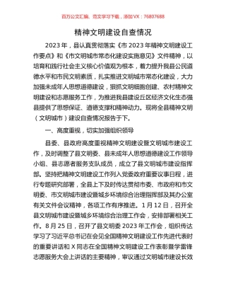 精神文明建设自查情况.docx