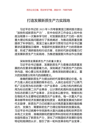 打造发展新质生产力实践地.docx