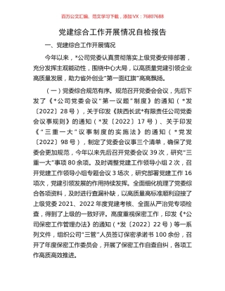 党建综合工作开展情况自检报告.docx