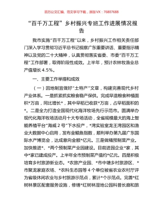 “百千万工程”乡村振兴专班工作进展情况报告.docx