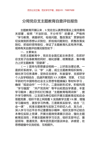 分局党总支主题教育自查评估报告.docx
