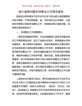 统计造假问题专项整治工作情况报告.docx