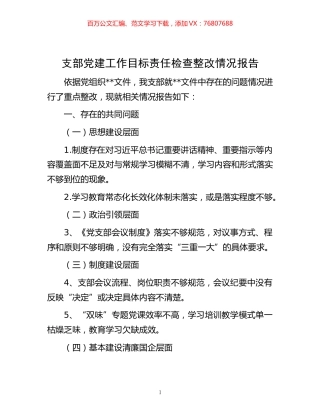 -支部党建工作目标责任检查整改情况报告.docx