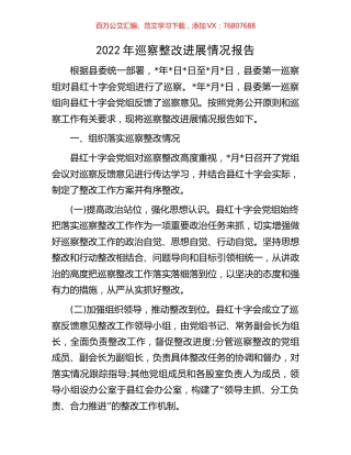2022年巡察整改进展情况报告.docx