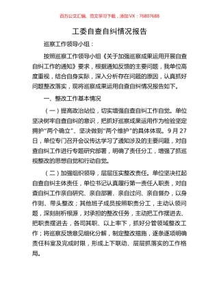 工委自查自纠情况报告.docx
