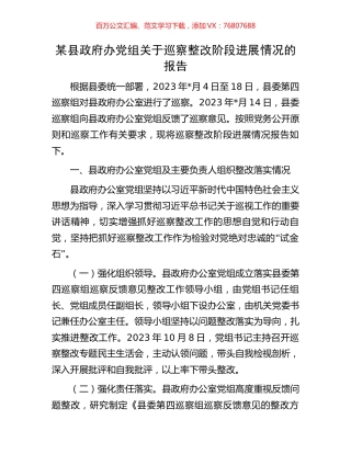 某县政府办党组关于巡察整改阶段进展情况的报告.docx