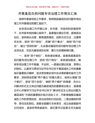 开展基层负担问题专项治理工作情况汇报.docx
