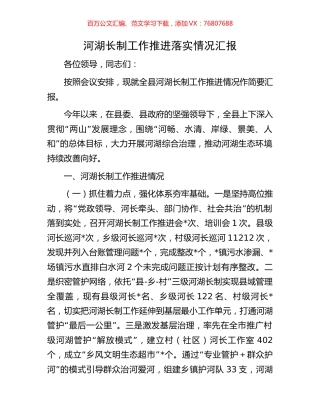 河湖长制工作推进落实情况汇报.docx