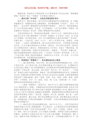 对关于遏制耕地“非农化”防止“非粮化”情况的汇报.docx