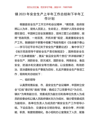 镇2023年安全生产上半年工作总结和下半年工作计划.docx