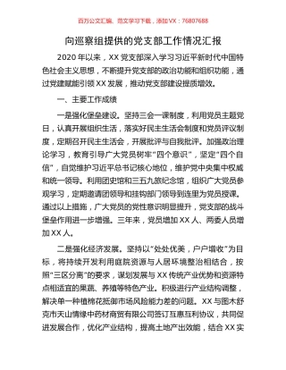 向巡察组提供的党支部工作情况汇报.docx