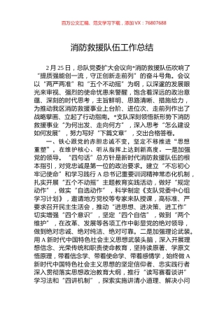 消防救援队伍工作总结.docx