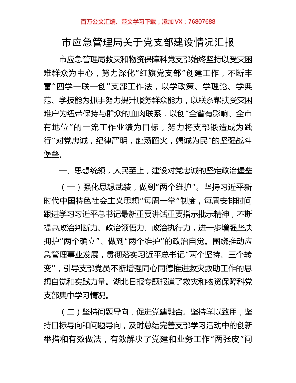 市应急管理局关于党支部建设情况汇报.docx_第1页