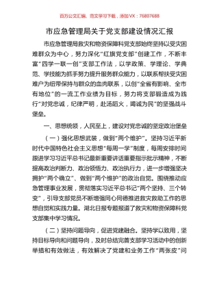 市应急管理局关于党支部建设情况汇报.docx
