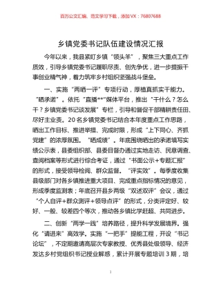 -乡镇党委书记队伍建设情况汇报.docx