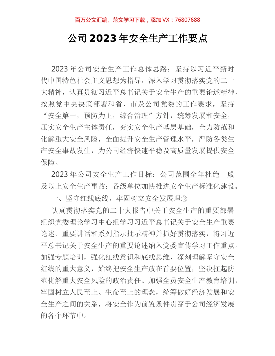 公司2023年安全生产工作要点.docx_第1页