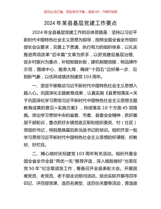 2024年某县基层党建工作要点.docx