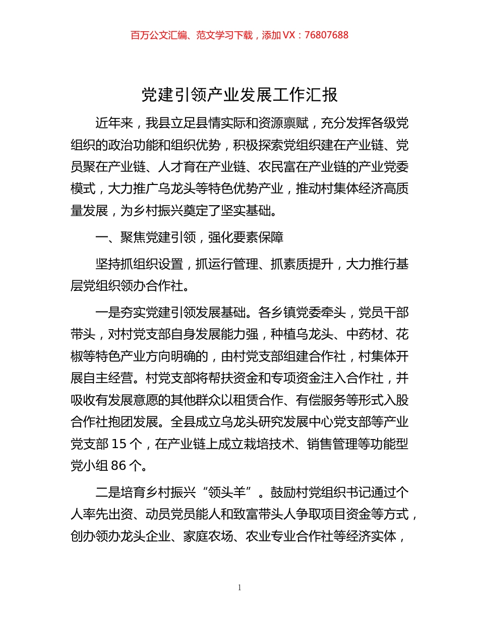 -党建引领产业发展工作汇报.docx_第1页
