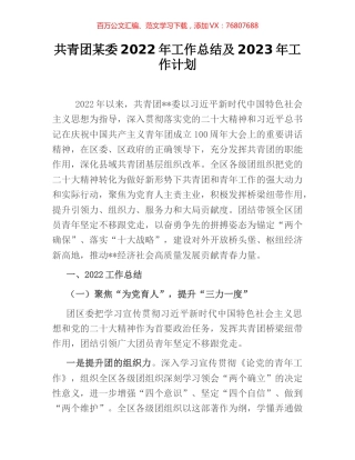 共青团某委2022年工作总结及2023年工作计划.docx