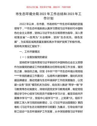 市生态环境分局2022年工作总结和2023年工作计划.docx